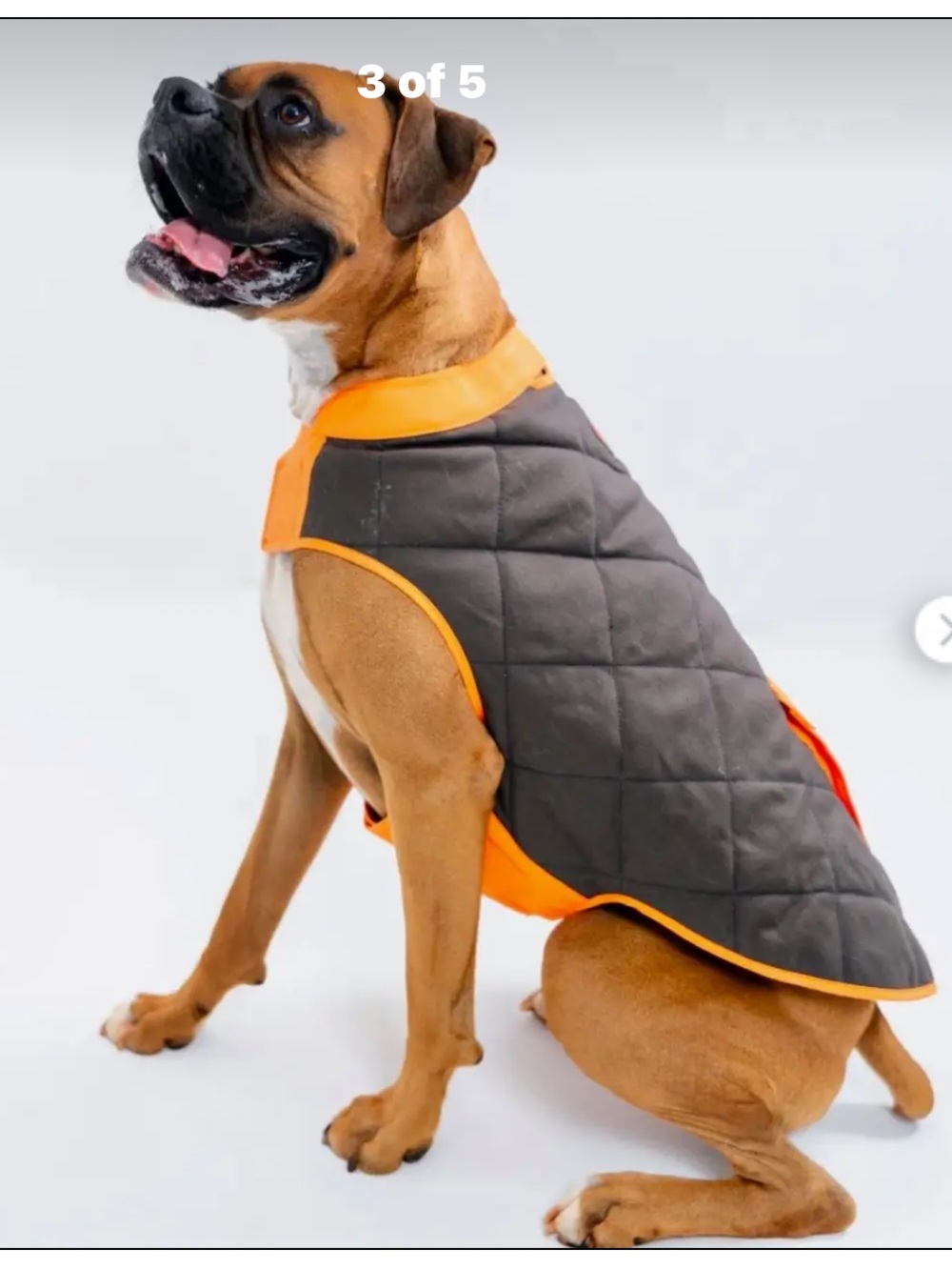 Mountain Khakis Dog's Camber Original Dog Vest
